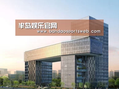 案例展示四(图1) 案例展示四(图1)