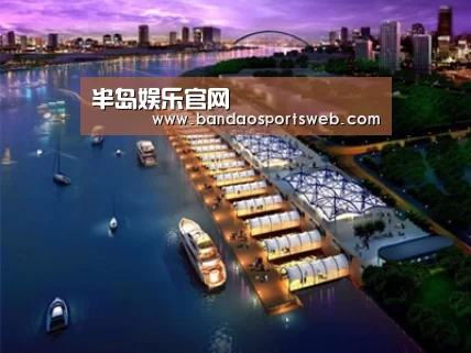 案例展示八