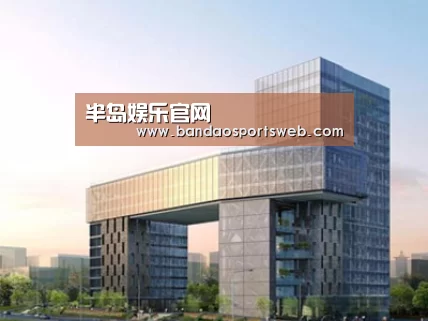 案例展示四