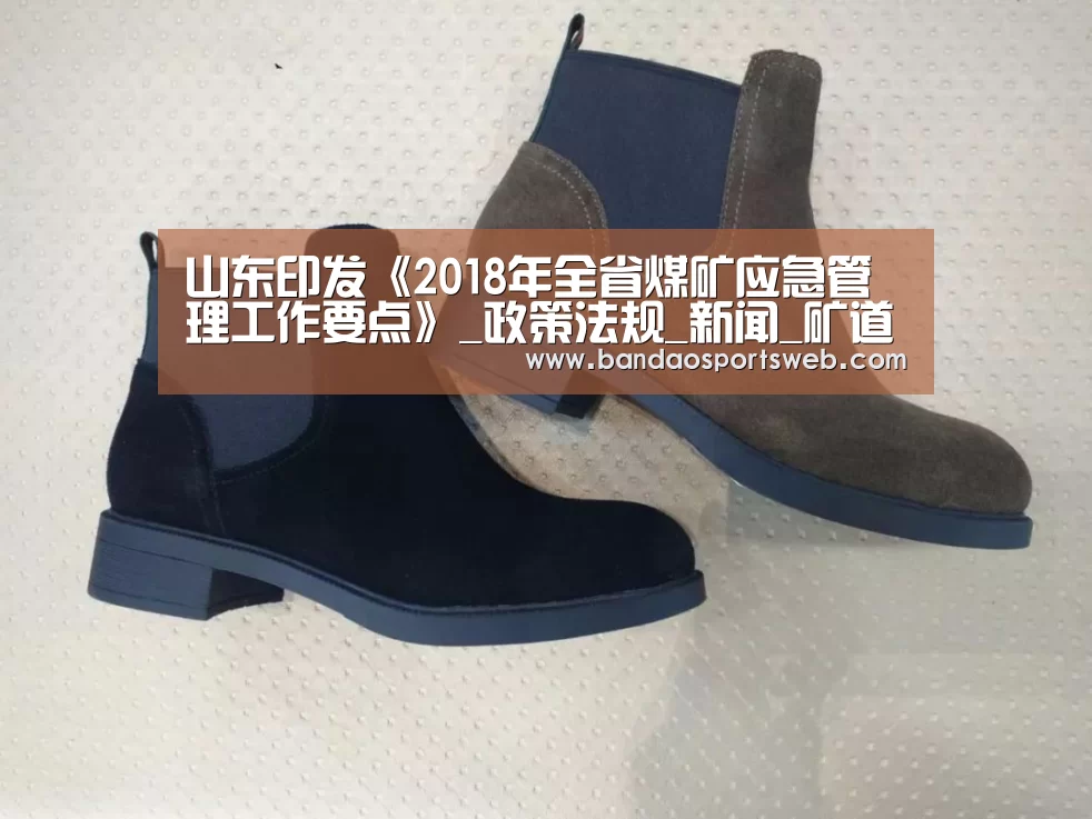 山东印发《2018年全省煤矿应急管理工作要点》_政策法规_新闻_矿道网:半岛娱乐官网(图3) 半岛娱乐app