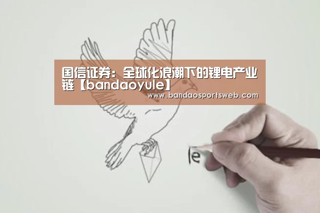 国信证券:全球化浪潮下的锂电产业链【bandaoyule】(图1) 半岛娱乐app