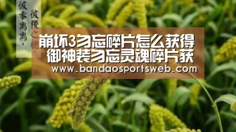 崩坏3勿忘碎片怎么获得 御神装勿忘灵魂碎片获取方法【半岛娱乐官网】(图2) 崩坏3勿忘碎片怎么获得 御神装勿忘灵魂碎片获取方法【半岛娱乐官网】(图2)