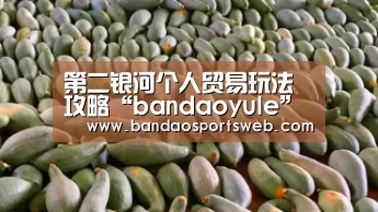 第二银河个人贸易玩法攻略“bandaoyule”(图1) 第二银河个人贸易玩法攻略“bandaoyule”(图1)