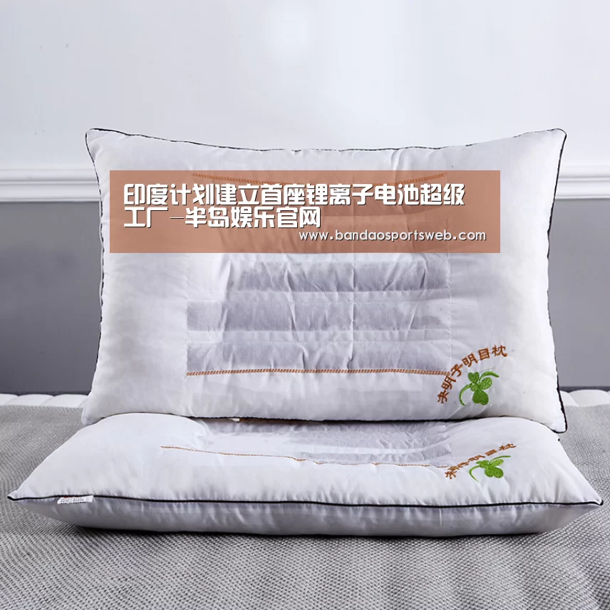 印度计划建立首座锂离子电池超级工厂-半岛娱乐官网(图3)