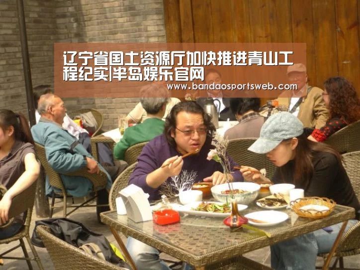辽宁省国土资源厅加快推进青山工程纪实|半岛娱乐官网(图2)