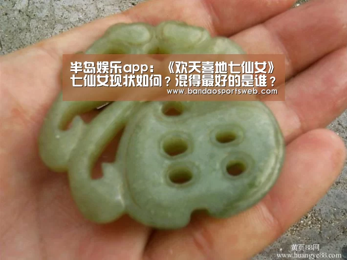 半岛娱乐app:《欢天喜地七仙女》七仙女现状如何?混得最好的是谁?(图1) 半岛娱乐app