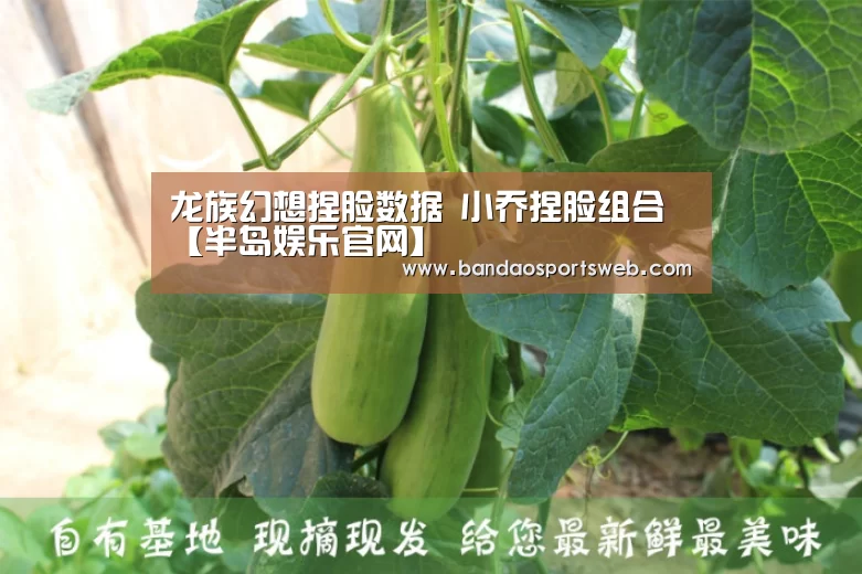 龙族幻想捏脸数据 小乔捏脸组合【半岛娱乐官网】(图2) 半岛娱乐官网