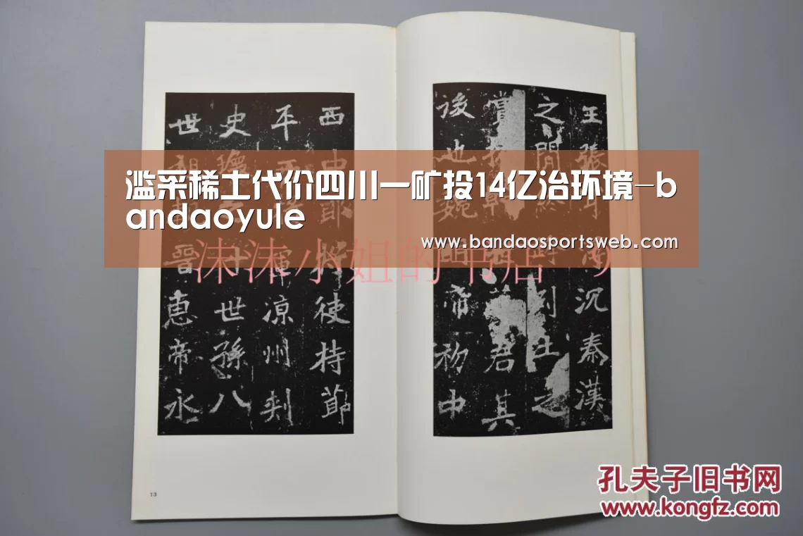 滥采稀土代价四川一矿投14亿治环境-bandaoyule(图2) 滥采稀土代价四川一矿投14亿治环境-bandaoyule(图2)