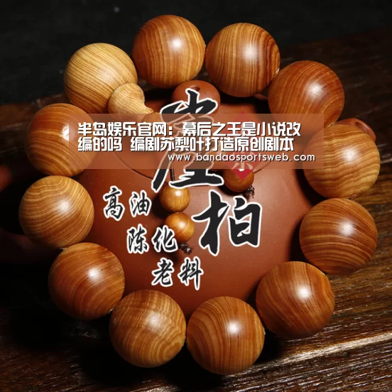 半岛娱乐官网:幕后之王是小说改编的吗 编剧苏梨叶打造原创剧本(图2) 半岛娱乐官网