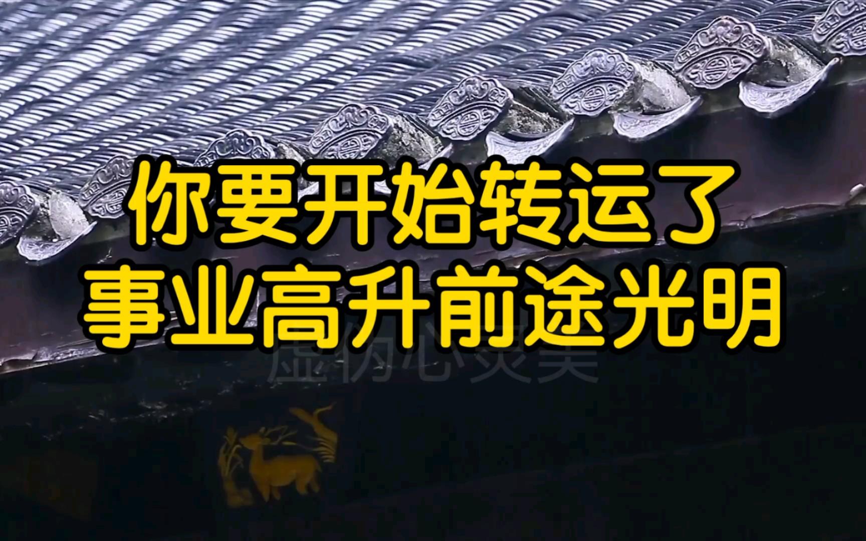 半岛体育-摩斯特队迎来连胜，球队前途一片光明