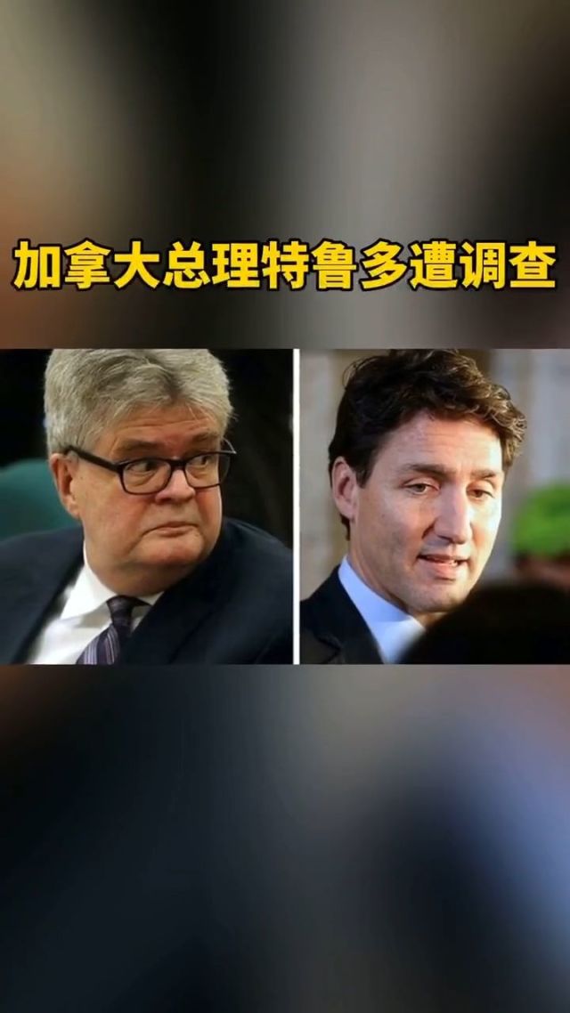 半岛体育-加拿大球队主教练涉嫌违规被调查